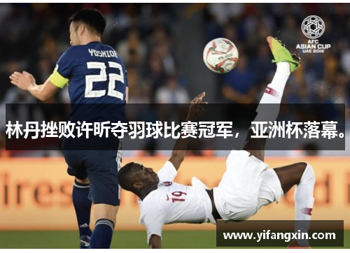 林丹挫败许昕夺羽球比赛冠军,亚洲杯落幕。